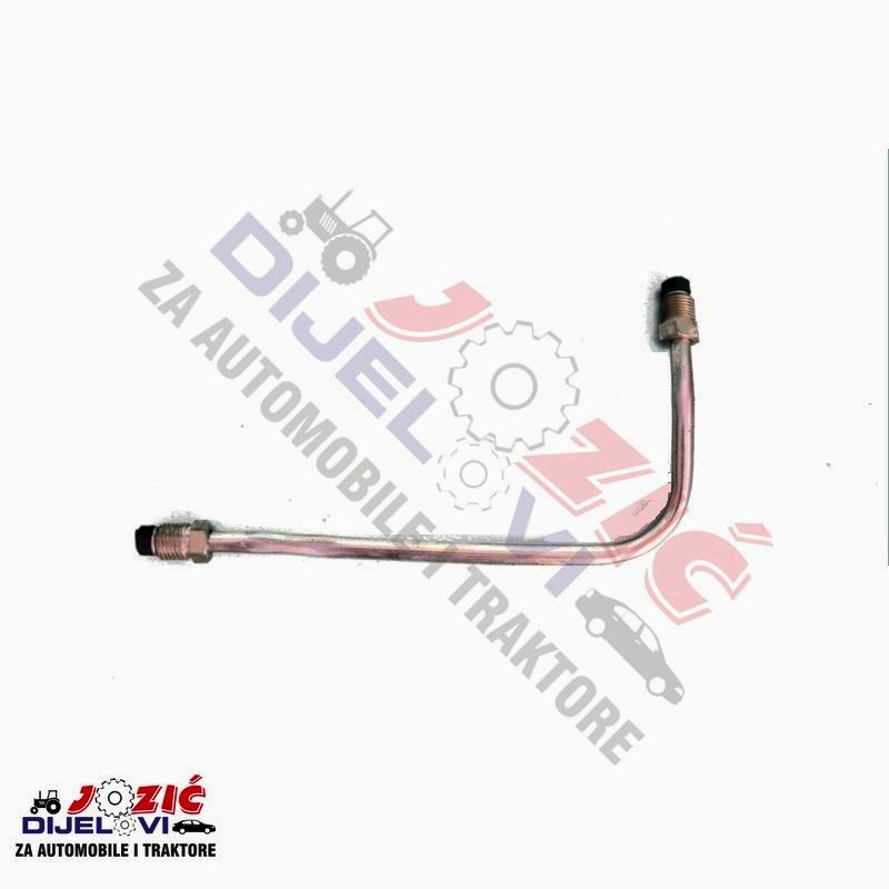 Daisy on the Ohoopee